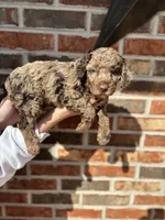 processed/eab342b7-f224-4f4a-a948-605e507ef950/facility/37fcc4f8-5b55-47fc-8048-136f249ffdd5