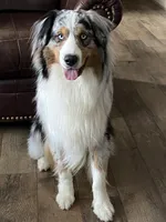 processed/eab342b7-f224-4f4a-a948-605e507ef950/facility/7b4140b9-c111-4fdb-9c36-f8eafc70897c