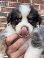 processed/eab342b7-f224-4f4a-a948-605e507ef950/facility/b425e483-eee9-4bab-9803-8a44ea0244c6