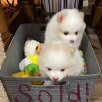 processed/eab34c47-bb35-4d9e-a05b-db1c029b0a3f/facility/028f4f69-b9f8-45a2-9f21-f2632c787d8e