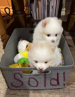 processed/eab34c47-bb35-4d9e-a05b-db1c029b0a3f/facility/028f4f69-b9f8-45a2-9f21-f2632c787d8e