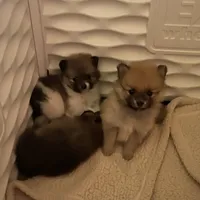 processed/eab34c47-bb35-4d9e-a05b-db1c029b0a3f/facility/123089b2-d7b8-4436-b940-8965f4f6d6f1