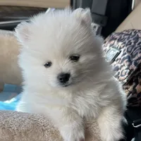 processed/eab34c47-bb35-4d9e-a05b-db1c029b0a3f/facility/1d37f97c-0ab3-440d-80a2-ff1a1c2d8d4e