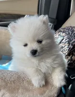 processed/eab34c47-bb35-4d9e-a05b-db1c029b0a3f/facility/1d37f97c-0ab3-440d-80a2-ff1a1c2d8d4e