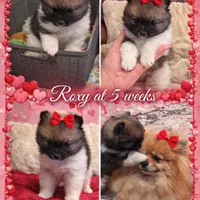 processed/eab34c47-bb35-4d9e-a05b-db1c029b0a3f/facility/557fe2c7-9d38-4e03-bafb-c9cd91582824