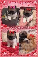 processed/eab34c47-bb35-4d9e-a05b-db1c029b0a3f/facility/557fe2c7-9d38-4e03-bafb-c9cd91582824