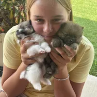 processed/eab34c47-bb35-4d9e-a05b-db1c029b0a3f/facility/5fbff0c0-d346-4d88-8e84-1df68473c171