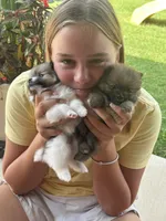 processed/eab34c47-bb35-4d9e-a05b-db1c029b0a3f/facility/5fbff0c0-d346-4d88-8e84-1df68473c171