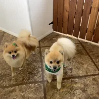 processed/eab34c47-bb35-4d9e-a05b-db1c029b0a3f/facility/7e38017b-ae46-40a1-b1d6-d769bdf2caa9