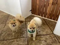 processed/eab34c47-bb35-4d9e-a05b-db1c029b0a3f/facility/7e38017b-ae46-40a1-b1d6-d769bdf2caa9