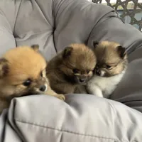 processed/eab34c47-bb35-4d9e-a05b-db1c029b0a3f/facility/826305b6-c0ea-46a4-b75d-43ace6ed0e75