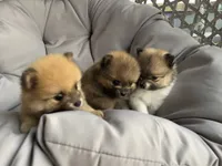 processed/eab34c47-bb35-4d9e-a05b-db1c029b0a3f/facility/826305b6-c0ea-46a4-b75d-43ace6ed0e75