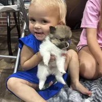 processed/eab34c47-bb35-4d9e-a05b-db1c029b0a3f/facility/83933c17-ea57-4c4f-88ab-1234627bacbb