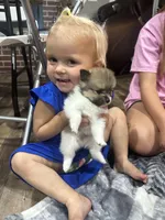 processed/eab34c47-bb35-4d9e-a05b-db1c029b0a3f/facility/83933c17-ea57-4c4f-88ab-1234627bacbb