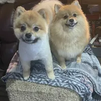 processed/eab34c47-bb35-4d9e-a05b-db1c029b0a3f/facility/c8d6f3d1-0ceb-4b8d-92ec-57598aaa507c