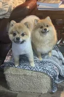 processed/eab34c47-bb35-4d9e-a05b-db1c029b0a3f/facility/c8d6f3d1-0ceb-4b8d-92ec-57598aaa507c