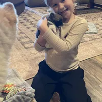 Roxy, a female Pomeranian for sale in Perkins, OK – Photo 10 of 10