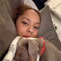 Choco, a male English Bulldog for sale in Hiram, GA – Photo 2 of 10