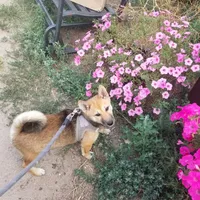 processed/eab506de-4179-436b-aec7-043fcb3bbfc1/facility/490f4f4c-32e8-4fcb-9872-db62ce9c0346