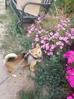 processed/eab506de-4179-436b-aec7-043fcb3bbfc1/facility/490f4f4c-32e8-4fcb-9872-db62ce9c0346