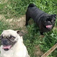 processed/eab506de-4179-436b-aec7-043fcb3bbfc1/facility/5d098d81-18b8-4310-99e7-d63e741d8e97