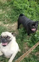 processed/eab506de-4179-436b-aec7-043fcb3bbfc1/facility/5d098d81-18b8-4310-99e7-d63e741d8e97