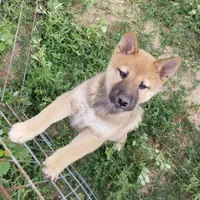 processed/eab506de-4179-436b-aec7-043fcb3bbfc1/facility/87a88451-c438-4f74-acea-dad2068a1e7f