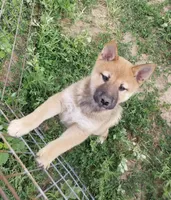 processed/eab506de-4179-436b-aec7-043fcb3bbfc1/facility/87a88451-c438-4f74-acea-dad2068a1e7f