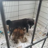 processed/eab506de-4179-436b-aec7-043fcb3bbfc1/facility/91ce182e-bc47-4565-8d83-bc7abc2cc780