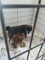 processed/eab506de-4179-436b-aec7-043fcb3bbfc1/facility/91ce182e-bc47-4565-8d83-bc7abc2cc780