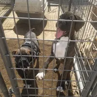 processed/eab506de-4179-436b-aec7-043fcb3bbfc1/facility/c9d2bd35-1a64-4b09-8214-729a1f2150a1