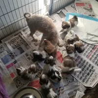 processed/eab506de-4179-436b-aec7-043fcb3bbfc1/facility/d457ce0d-ee16-4219-852c-a2af7f110d64