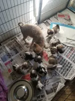 processed/eab506de-4179-436b-aec7-043fcb3bbfc1/facility/d457ce0d-ee16-4219-852c-a2af7f110d64