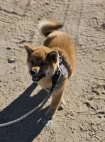 processed/eab506de-4179-436b-aec7-043fcb3bbfc1/listing/09670f43-1158-4204-95de-51fe4722fee0/223e7311-a4d2-4fe2-94c7-d4123fe0d9e5