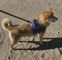 processed/eab506de-4179-436b-aec7-043fcb3bbfc1/listing/09670f43-1158-4204-95de-51fe4722fee0/46908e6f-d19a-4758-bfcc-b1aff0f8c752