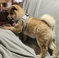 processed/eab506de-4179-436b-aec7-043fcb3bbfc1/listing/09670f43-1158-4204-95de-51fe4722fee0/ca3d236d-e24a-4f5d-93f2-af8b24b48a38