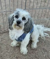 processed/eab506de-4179-436b-aec7-043fcb3bbfc1/listing/28765953-1b73-4d1f-ad6a-5e5a30628102/14a7c835-568f-466e-b1cb-5ab0b1eca293