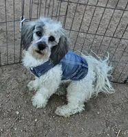 processed/eab506de-4179-436b-aec7-043fcb3bbfc1/listing/28765953-1b73-4d1f-ad6a-5e5a30628102/4a5e775d-de7d-40df-88d4-2790b4059d95