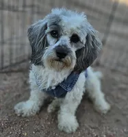 processed/eab506de-4179-436b-aec7-043fcb3bbfc1/listing/28765953-1b73-4d1f-ad6a-5e5a30628102/4da4edd1-6106-4a38-a78e-f2c08a4955a8