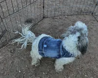 processed/eab506de-4179-436b-aec7-043fcb3bbfc1/listing/28765953-1b73-4d1f-ad6a-5e5a30628102/681e0b1c-f377-4b48-9723-663cbf5835b8