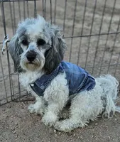 processed/eab506de-4179-436b-aec7-043fcb3bbfc1/listing/28765953-1b73-4d1f-ad6a-5e5a30628102/8908e83d-bfdb-4cad-8a96-6ae2621d66bd