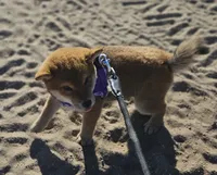 processed/eab506de-4179-436b-aec7-043fcb3bbfc1/listing/80daa475-3fed-47e1-8ea1-ca89076b77c3/3b0902c4-003f-4b61-a5c1-64f40f48f139