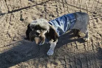 processed/eab506de-4179-436b-aec7-043fcb3bbfc1/listing/a6086954-5868-4eb7-992f-8a8d9ceb33d2/99ef3c06-ce1b-4d8c-ac92-36960bcc6587