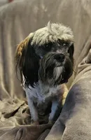 processed/eab506de-4179-436b-aec7-043fcb3bbfc1/listing/a6086954-5868-4eb7-992f-8a8d9ceb33d2/fceda28d-0924-4185-918f-212e0ec4e1de