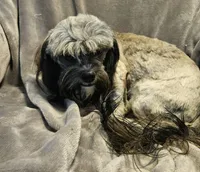 processed/eab506de-4179-436b-aec7-043fcb3bbfc1/listing/a6086954-5868-4eb7-992f-8a8d9ceb33d2/fd38d27f-680b-4144-8e03-43782ef46b3b