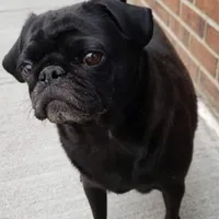 processed/eaba93f2-d7f6-449a-a1cb-8307e57ec13e/facility/538a3915-0e40-4baf-ad9b-12218ea62bce