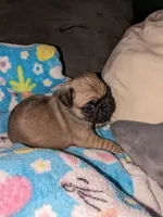 processed/eaba93f2-d7f6-449a-a1cb-8307e57ec13e/facility/813508e0-1d66-4e13-994a-19520f4a84e3