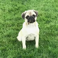 processed/eaba93f2-d7f6-449a-a1cb-8307e57ec13e/facility/922d80de-8e42-42a7-977b-6a394f2d9981