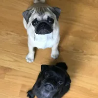 processed/eaba93f2-d7f6-449a-a1cb-8307e57ec13e/facility/94331223-4b7f-4ba3-9044-750282392996