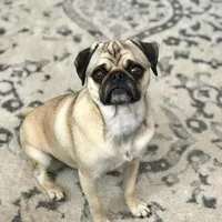 processed/eaba93f2-d7f6-449a-a1cb-8307e57ec13e/facility/9a4200a7-181e-443c-ae25-096b04943c1e